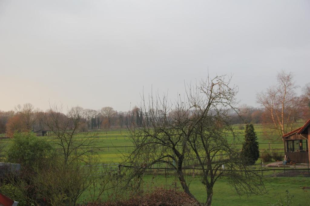 Gasthaus Eickholt Gmbh อัสเชอแบร์ก ห้อง รูปภาพ